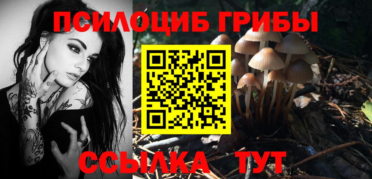 Галлюциногенные грибы MAGIC MUSHROOMS Губкин