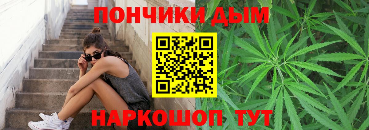 Каннабис планчик  Каннабис семена  Вход с VPN  Губкин  Шишки марихуана SATIVA & INDICA 